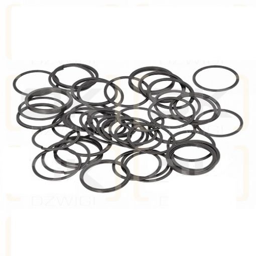 Slika F12-60 - Prsten za klip (ring of piston)