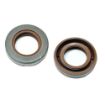 Slika SEM.17x36x6,6 SZR VITON sa metalom