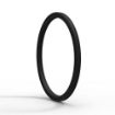 Slika 17,17x1,78 x ring