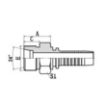 Slika PL-10411-22-06