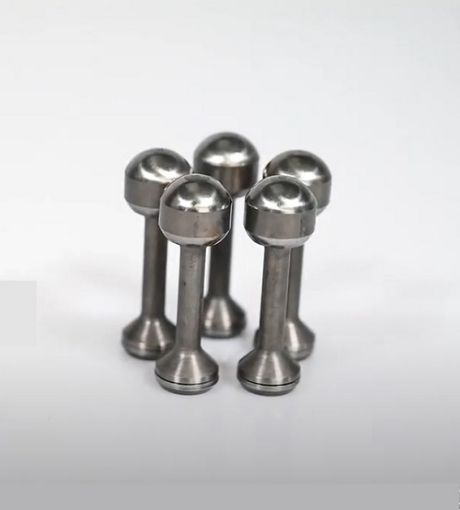 Slika F11-110 - Klip sa prstenom (piston and ring) fi 9/21,5mm